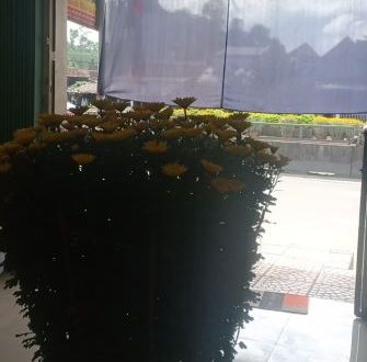 Cho thuê mặt bằng gần chợ Nước Mặn Bình Sơn