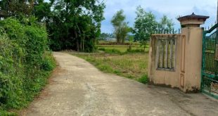 Bán Đất Giá Rẻ - Điền Trang Nghĩa Trung