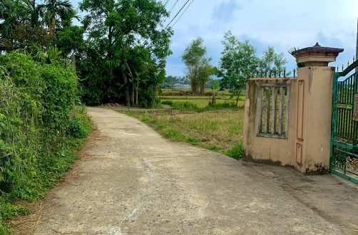 Bán Đất Giá Rẻ - Điền Trang Nghĩa Trung