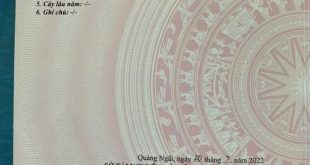 Bán nhà giá rẻ hẻm Nguyễn Văn Linh - phường Trương Quang Trọng