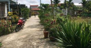 Cần bán lô đất tại xã Đức Chánh, huyện Mộ Đức