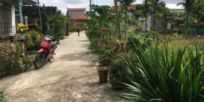 Cần bán lô đất tại xã Đức Chánh, huyện Mộ Đức