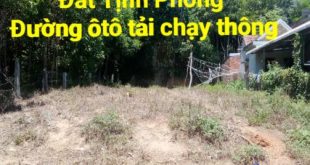 ĐẤT TỊNH PHONG HƠN 200m2 GIÁ BÁN NHANH