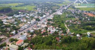 Đất Bình Hòa Giá Rẻ - Phap Lý An Toàn