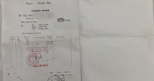 Vườn 100m2 Bình Trung, bình sơn, quảng ngãi F0 Có 200m2 đất Ở