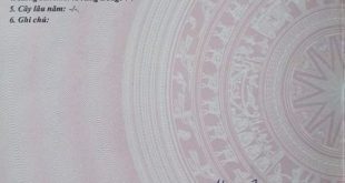 cần bán lô đất đẹp Bình Thạnh, cách cây xăng Ngã 6 Bình chánh 70m