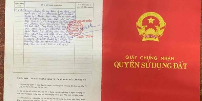 Bán Đất Lâm Nghiệp Và Cây Rừng Xã Hành Dũng, Huyện Nghĩa Hành, Tỉnh Quảng Ngãi.