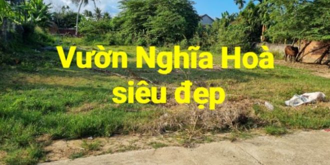 MẢNH VƯỜN ĐẸP NGHĨA HOÀ SÁT KHU VUI CHƠI BÃI DỪA CẦN BÁN NHANH GIÁ NHẸ