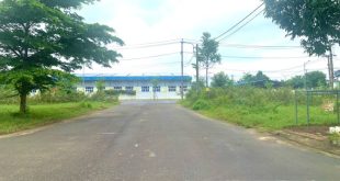Bán Lô Biệt Thự 200m2 - Ngay Trung Tâm Thị Xã Đức Phổ - Giá Tốt