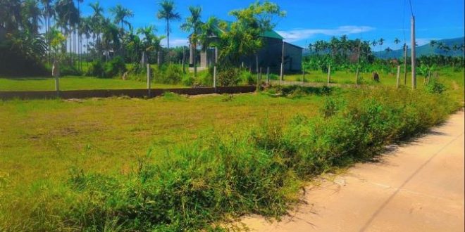 Chủ cần tiền bán gấp diện tích hơn 300m2, đường 5m cách đường lớn 40m giá cực rẻ
