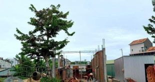 Đất nền Phố Chợ Hàng Rượu (5x18m) giá 1 tỷ 367 triệu. Đường 12m