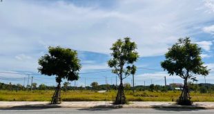 Khu dịch vụ hỗn hợp Vsip Quảng Ngãi view Trường học hướng nam chỉ 1 tỷ 2xx