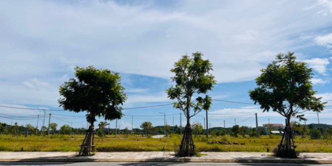 Khu dịch vụ hỗn hợp Vsip Quảng Ngãi view Trường học hướng nam chỉ 1 tỷ 2xx