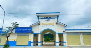 ✅️ Lý do nên chọn mua đất nền tại KĐT Phố Chợ Hàng Rượu, TP Quảng Ngãi thời điểm hiện tại‼