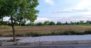 Suất ngoại giao duy nhất tại Vsip Tịnh Phong
