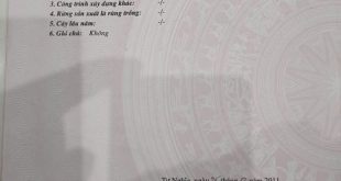 Cần Bán Mảnh Đất Vườn Tại Xã Nghĩa Trung – Vị Trí Đẹp.