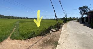 ????Chính chủ bán nhanh-Lô đất Mặt tiền Đ.Liên xã Bình Tân Phú-ngang 35m-120tr????????