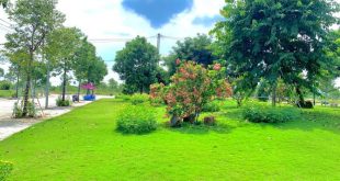 Nằm ở Vị trí đắc địa giao thông thuận tiện, trung tâm phát triển kinh tế Tỉnh Quảng Ngãi