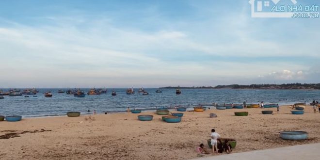 kẹt quá bán lỗ 2000m2 đất đang trồng keo đã 3 năm cách biển 3km bình sơn quảng ngãi