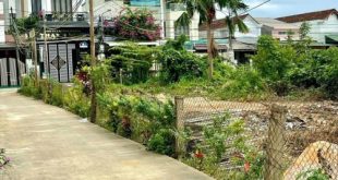 BÁN ĐẤT BÊN  HÔNG NGỌC BẢO VIÊN GÂNF CẤP 1 NGHĨA LỘ CHỈ HƠN 1 TỶ1