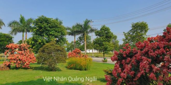 Bán đất nền TT huyện Sơn Tịnh hướng Đông, cửa ngõ kinh tế Bắc Sông Trà.