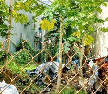 Bán lô đất Hẻm 08 Nguyễn Thụy, Hẻm rộng 4m Ôtô 7 chỗ,  Dt. 5x25m, Hướng Đông