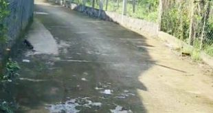 Bán vườn 1000m2 (26x38,5m2) Nghĩa Hà TP Quảng Ngãi