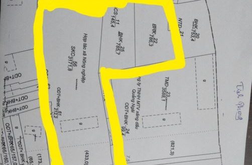 CHO THUÊ 5000m2 ĐẤT THƯƠNG MẠI DỊCH VỤ MẶT TIỀN QUỐC LỘ 1A TP QUẢNG NGÃI