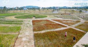 Khu Dịch VỤ Hỗn Hợp VSIP Quang Ngai, ưu đãi chào mừng 10 năm VSIP.