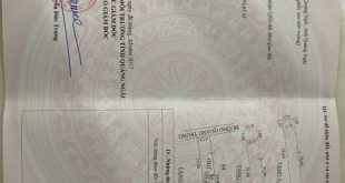 Ngợp bank cần bán gấp nhà mê mặt tiền đường Quang Trung trung tâm  Quảng Ngãi