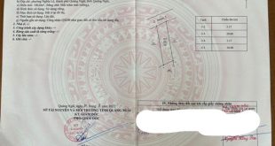 Tin cực sốc, hàng giá rẻ quá rẻ chưa qua đầu tư 5.17x20