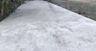 Vườn 1000m2 full thổ cư ngay cảng cá Tịnh Hoà, ngang 27m, sổ hồng sẵn, chỉ 4.7 triệu/m2