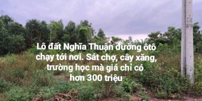 ĐẤT NGHĨA THUẬN GIÁ RẺ QUÁ RẺ    ĐẤT NGHĨA THUẬN GIÁ RẺ QUÁ RẺ