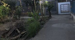 BÁN LÔ ĐẤT HẺM BÀ TRIỆU GIÁ 720 triệu TTP QUẢNG NGÃI