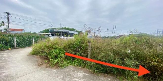 Bán nhanh lô đất Tịnh Phong cách đường dẫn thạch bích chỉ 30m. mua là lời ngay.