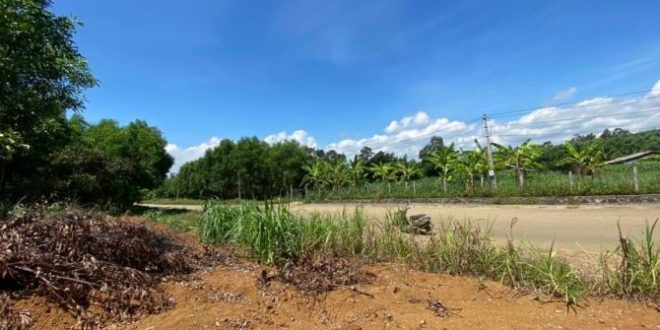kẹt tiền bán gấp 2000m2 đất bình sơn, bình hải, quảng ngãi gần biển