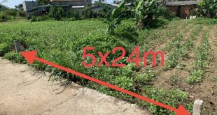 Bán Lỗ Đất Tịnh Phong gần Khu công nghiệp VSIP giá rẻ nhất thị trường