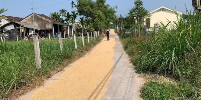 Bán nhanh lô đất Nghĩa Thuận siêu đẹp 142 m2