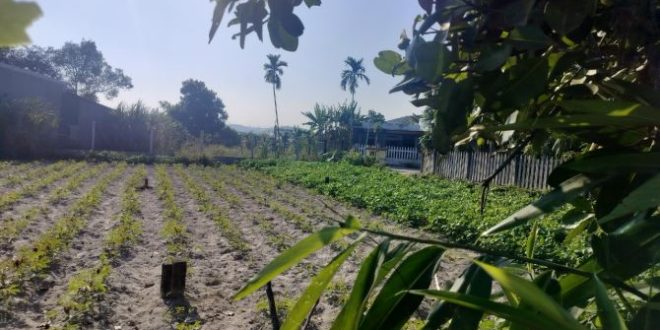 Đất Đường Bê Tông 5m Gần KCN Tịnh Phong Chỉ 7xx Triệu