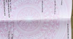 BÁN ĐẤT KDC THƯƠNG MẠI-DỊCH VỤ NAM THẠCH TRỤ-ĐỨC LÂN MỘ ĐỨC _NGAY QL 1A giao VỚI QL 24