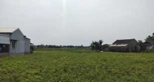 Bán Gấp Lô Đất 300 m² Sát Đường Dẫn Thạch Bích và ĐT622C