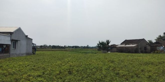Bán Gấp Lô Đất 300 m² Sát Đường Dẫn Thạch Bích và ĐT622C