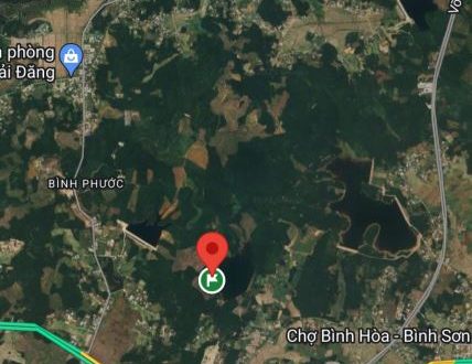 Đất trồng cây đẹp,Bình Hòa ,Bình Sơn,Quảng Ngãi