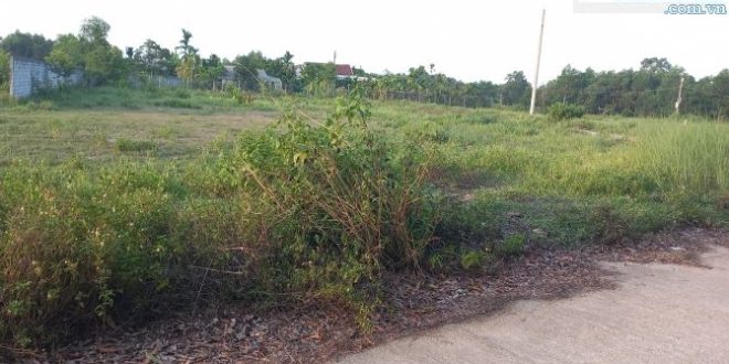 Bán lô đất 5,5x22m Hướng nam, Hẻm Ôtô thông xã Nghĩa Thuận, Tư Nghĩa