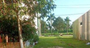 Bán lô đất 5x21,5m mặt tiền đường nhựa, Khu dân cư tây Phan Đình Phùng