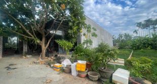 Lô đất Hộ Khâu Nghĩa Chánh giá rẻ 6xx triệu