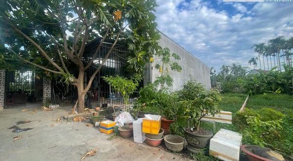 Lô đất Hộ Khâu Nghĩa Chánh giá rẻ 6xx triệu