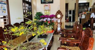 Bán biệt thự ven sông  đắc địa nhất Thị Trấn Châu ổ huyện bình sơn tỉnh quảng ngãi gần quả