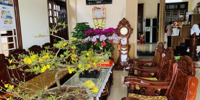 Bán biệt thự ven sông  đắc địa nhất Thị Trấn Châu ổ huyện bình sơn tỉnh quảng ngãi gần quả