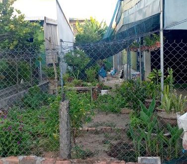 Bán lô đất đẹp giá rẻ, Dt. 128m2 Hẻm 319 Nguyễn Trãi Ô tô thông, Hk Nghĩa Lộ